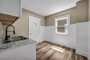 911 Royal Rd, Loveland, OH 44110 - Photo 5