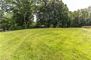 Buena Vista, Akron, OH 44319 - Photo 1