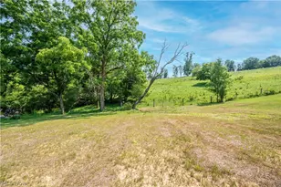 115 Hillside Dr, East Palestine, OH 44413 - Photo 47