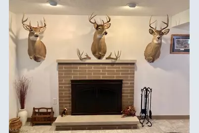 4474 Ridge Road, Wadsworth, OH 44281 - Photo 1