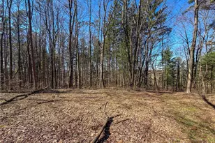 73356 Old Twenty One Rd, Kimbolton, OH 43749 - Photo 19
