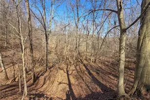 73356 Old Twenty One Rd, Kimbolton, OH 43749 - Photo 21