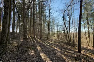 73356 Old Twenty One Rd, Kimbolton, OH 43749 - Photo 29