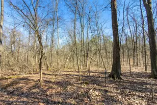 73356 Old Twenty One Rd, Kimbolton, OH 43749 - Photo 27