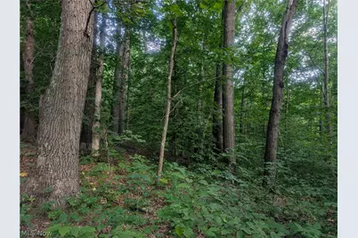 5045 Tract C E Reinersville Road, McConnelsville, OH 45786 - Photo 13
