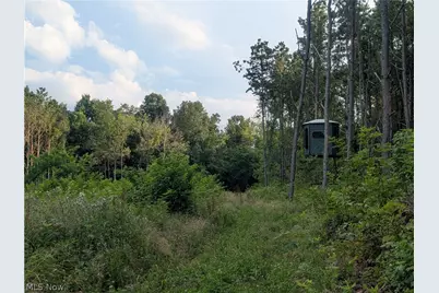 0 Tract D E. Reinersville Road, McConnelsville, OH 45786 - Photo 11