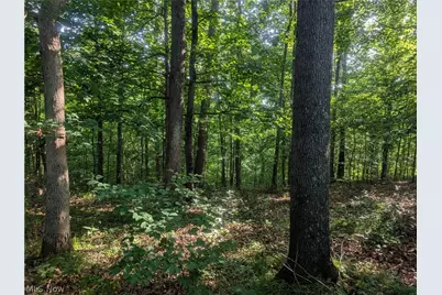 0 Tract Abcd Early Ridge Road, McConnelsville, OH 45786 - Photo 21
