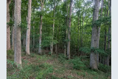 0 Tract Abcd Early Ridge Road, McConnelsville, OH 45786 - Photo 19