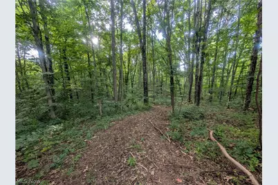 0 Tract Abcd Early Ridge Road, McConnelsville, OH 45786 - Photo 5