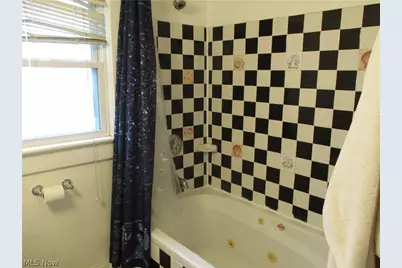 256 Sues Court, Akron, OH 44311 - Photo 19