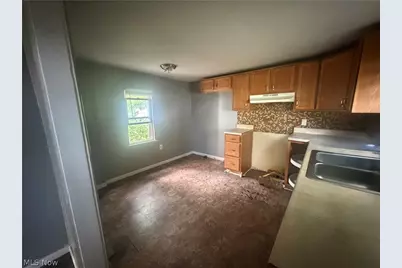 509 Lucy Street, Akron, OH 44306 - Photo 9