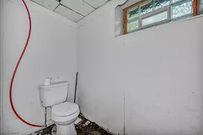9822 Raymond Avenue, Loveland, OH 44104 - Photo 23