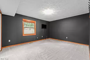 315 Valley Brook Oval, Hinckley, OH 44233 - Photo 15