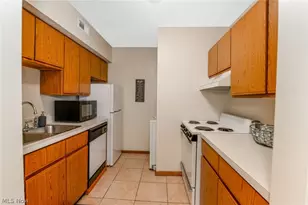 709 & 717 Carroll St, Akron, OH 44304 - Photo 11