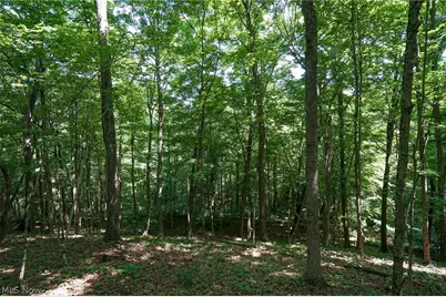 235 Butterbean Ridge Rd, Philo, OH 43771 - Photo 7