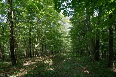 235 Butterbean Ridge Rd, Philo, OH 43771 - Photo 9