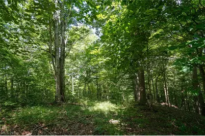 235 Butterbean Ridge Rd, Philo, OH 43771 - Photo 5