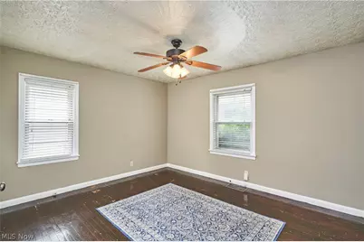 223 Davenport Avenue, Akron, OH 44312 - Photo 11