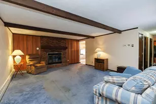 43254 Dellefield Rd, Elyria, OH 44035 - Photo 9