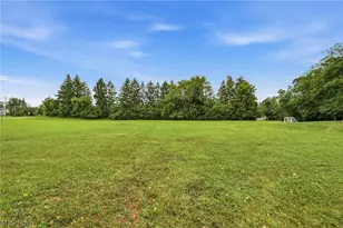 435 Abbeyville Rd, Medina, OH 44256 - Photo 49
