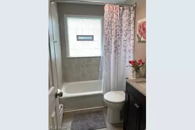 256 S Roanoke Avenue, Austintown, OH 44515 - Photo 9