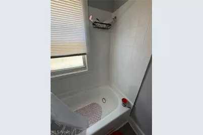 11101 Nelson Avenue, Loveland, OH 44105 - Photo 5