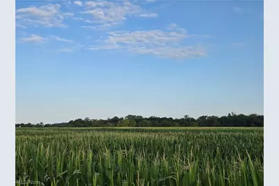 Arbella Road, LaRue, OH 43332 - Photo 3