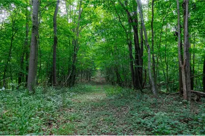 Hill Road, Dresden, OH 43821 - Photo 29
