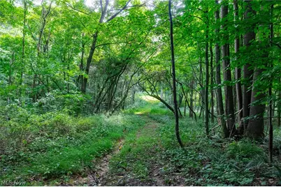 Hill Road, Dresden, OH 43821 - Photo 25