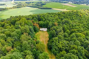 Hill Rd, Dresden, OH 43821 - Photo 1