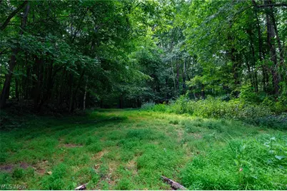 Hill Road, Dresden, OH 43821 - Photo 27