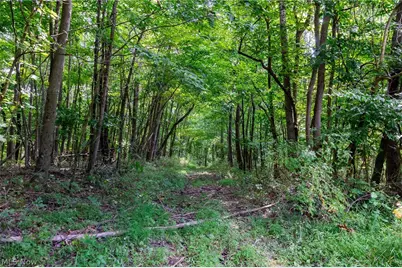 Hill Road, Dresden, OH 43821 - Photo 19