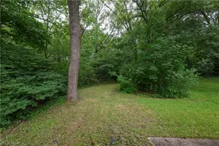 1320 19th St NE, Canton, OH 44714 - Photo 29