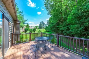 111 Cliffside Dr, Wakeman, OH 44889 - Photo 45