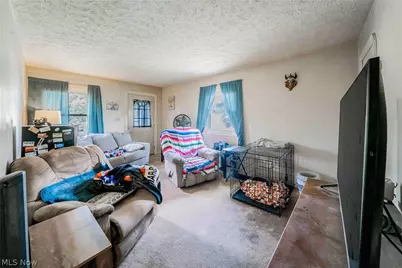 1347 Hammel Street, Akron, OH 44306 - Photo 5