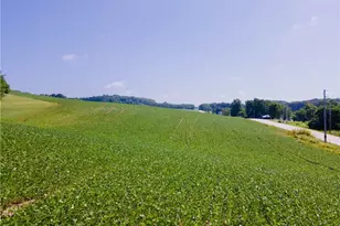 Pigeon Roost Rd, Howard, OH 43028 - Photo 1