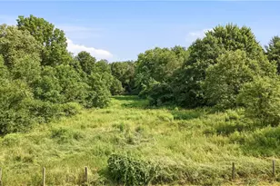 6585 Chestnut-Ridge Rd, Hubbard, OH 44425 - Photo 11