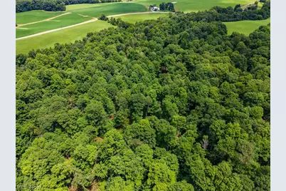 Township Road 2156, Ashland, OH 44805 - Photo 9