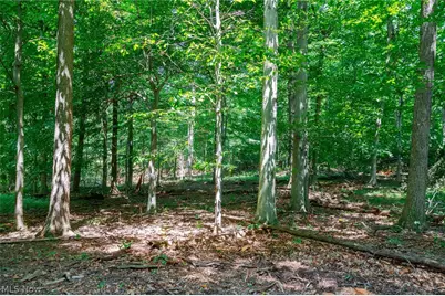 Township Road 2156, Ashland, OH 44805 - Photo 23