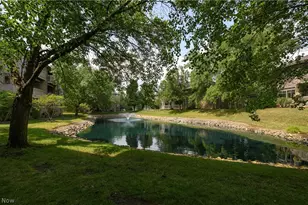 3800 Rosemont Blvd, Fairlawn, OH 44333 - Photo 31