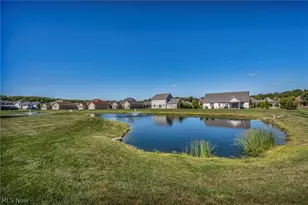 3998 Mary Way, Canfield, OH 44406 - Photo 47