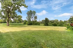 7999 Wadsworth Rd, Wadsworth, OH 44281 - Photo 5