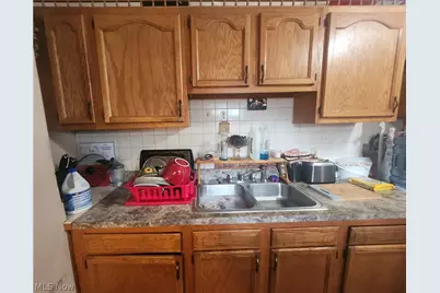 2922 Minnie Avenue, Loveland, OH 44104 - Photo 9