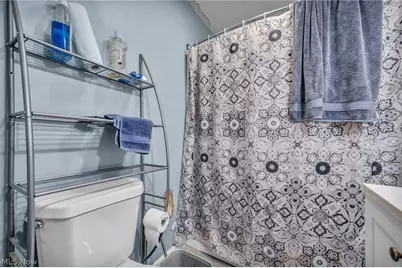 1502 Ferman Avenue, Loveland, OH 44109 - Photo 27