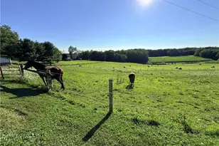 9268 Co Rd 39, Bloomingdale, OH 43910 - Photo 41