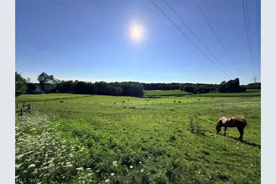 9268 County Road 39, Bloomingdale, OH 43910 - Photo 39