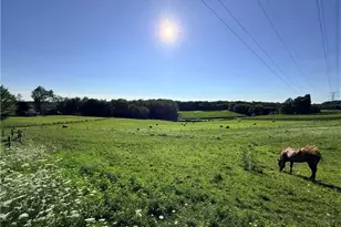 9268 Co Rd 39, Bloomingdale, OH 43910 - Photo 39
