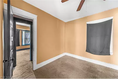 6302 Francis Avenue, Loveland, OH 44127 - Photo 15