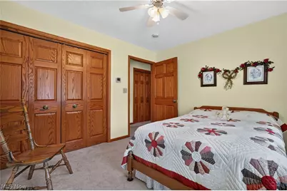341 W Cedar Street, Jefferson, OH 44047 - Photo 41