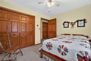 341 W Cedar St, Jefferson, OH 44047 - Photo 41